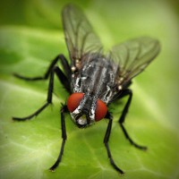 /album/isidro-padilla/photolia-a01-jpg/