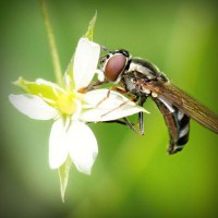 /album/isidro-padilla/photolia-a02-jpg/