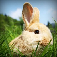 /album/isidro-padilla/photolia-a03-jpg/