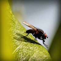 /album/isidro-padilla/photolia-a04-jpg/