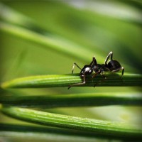 /album/isidro-padilla/photolia-a05-jpg/