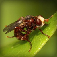 /album/isidro-padilla/photolia-a06-jpg/