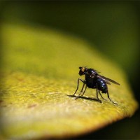 /album/isidro-padilla/photolia-a07-jpg/