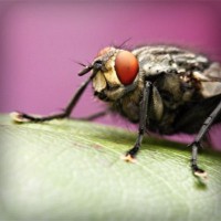 /album/isidro-padilla/photolia-a08-jpg/